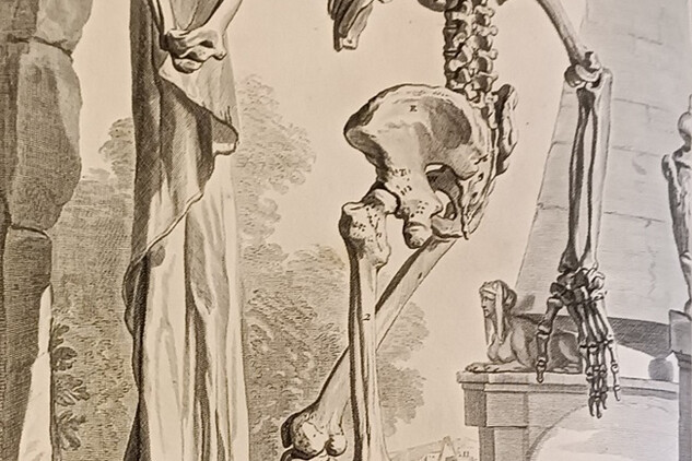 Anatomia Humani corporis - Godefridi Bidloo 1685 | © Štefan Brštiak