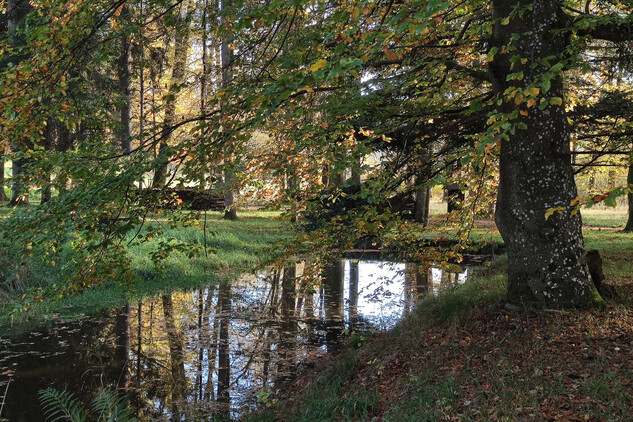 Zámecký park Červený Dvůr, 2024