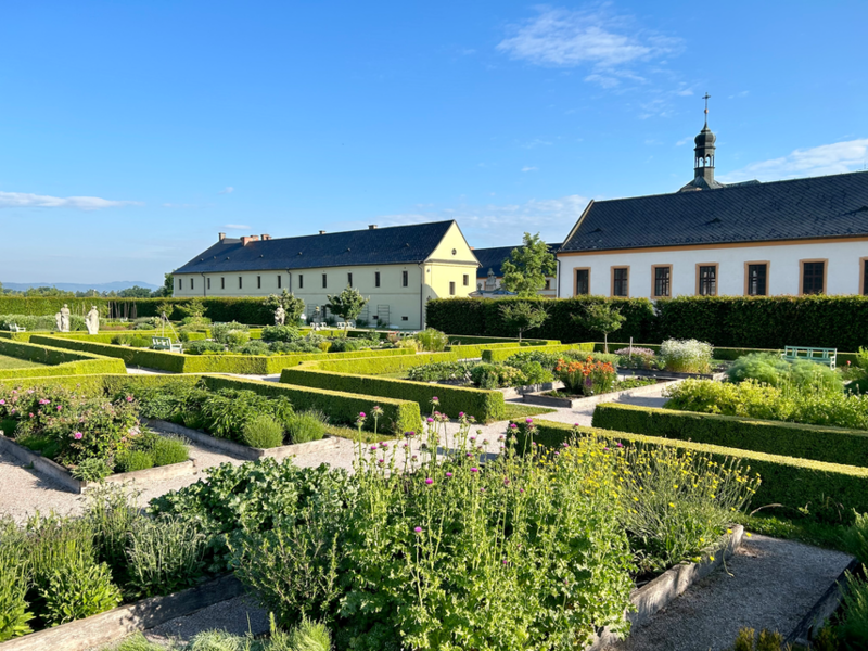 Hospitál Kuks - bylinková zahrada Hospitál Kuks - bylinková zahrada