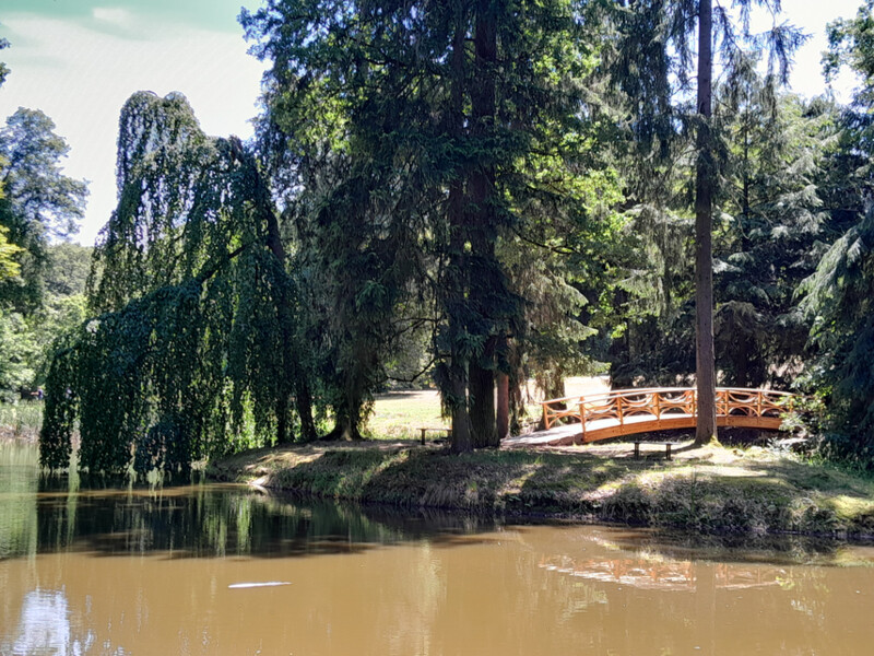 Jezírko s novým mostkem v zámeckém parku na Hluboké, červen 2024