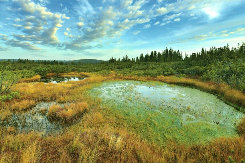 Moje Šumava | © Vladimír Kunc