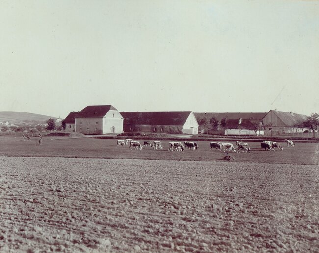 Bijadla na počátku 20. století na snímku Antonína Brkla, sládka merklínského pivovaru | © Archiv Městského úřadu Přeštice