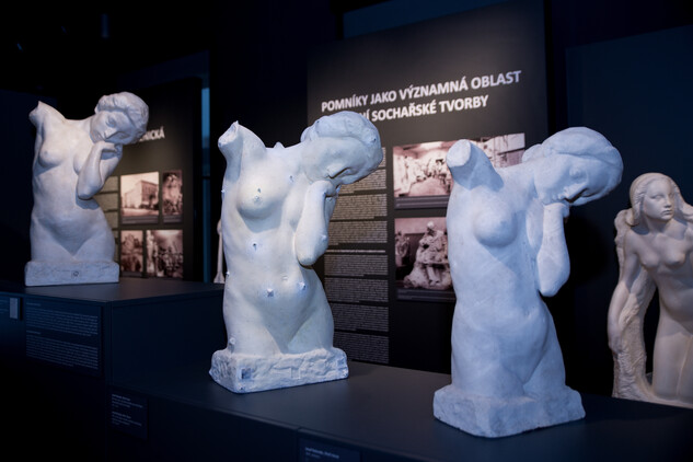 Vítěz kategorie Prezentace hodnot  -  Expozici „Od kamene k soše“ v obnoveném Městském muzeu Hořice