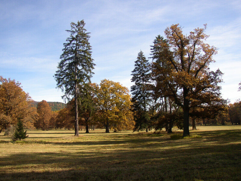 Zámecký park v Červeném Dvoře