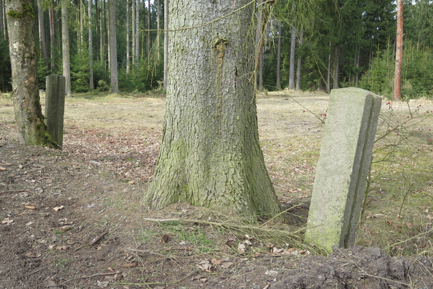 Trojany, okres Plzeň-sever, poslední pozůstatky po oplocení cisterciácké lovecké obory. Foto: Národní památkový ústav