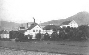 Kout na Šumavě, pohled od jihozápadu v době kolem roku 1900.