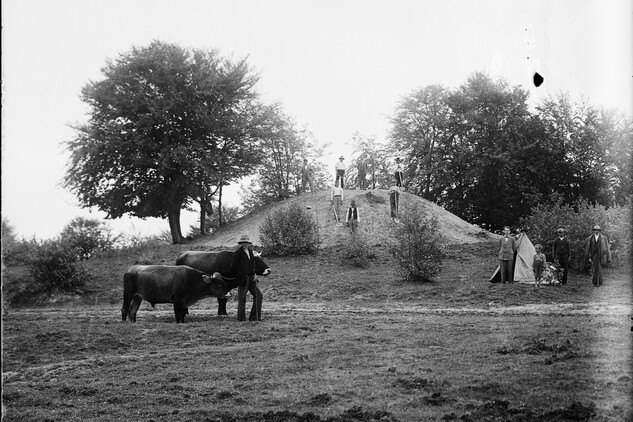 Mohyla v Kuštanovicích (Zakarpatská oblast, Ukrajina) po zahájení výzkumu, počátek 30. let 20. století (© ARÚ Praha).