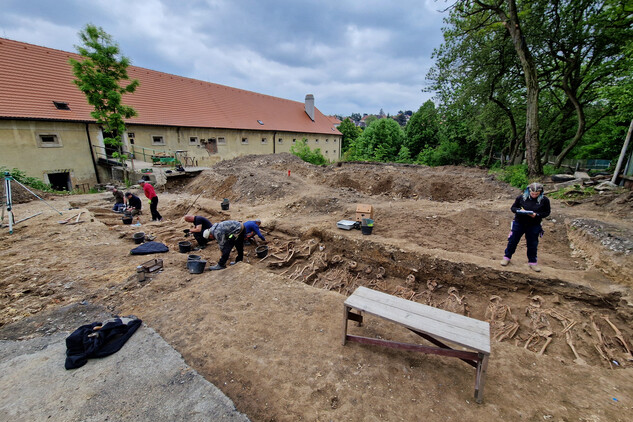 Souběžná preparace antropologického materiálu (vlevo) a jeho antropologický popis (vpravo). Liniový hrob č. 12 a 17 (foto Egon Ditmar, 20. 5. 2025).