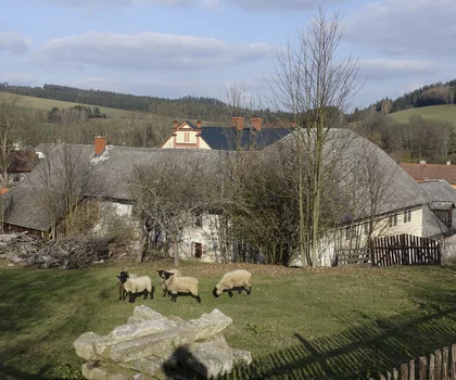 Selská usedlost v Borovnici u Jimramova 