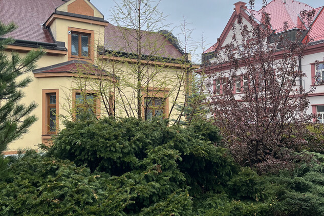 Komentovaná procházka Tyršovou ulicí v Chotěboři, fotografii poskytlo Město Chotěboř