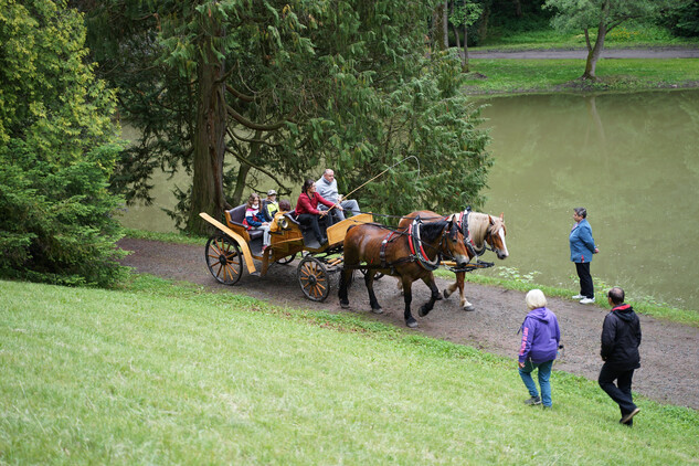 Projížďky kočárem v rámci oslav 200 let od založení zámeckého parku