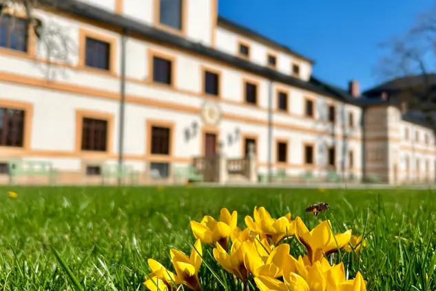 Hospitál Kuks nabídne v roce 2025 několik zpestření